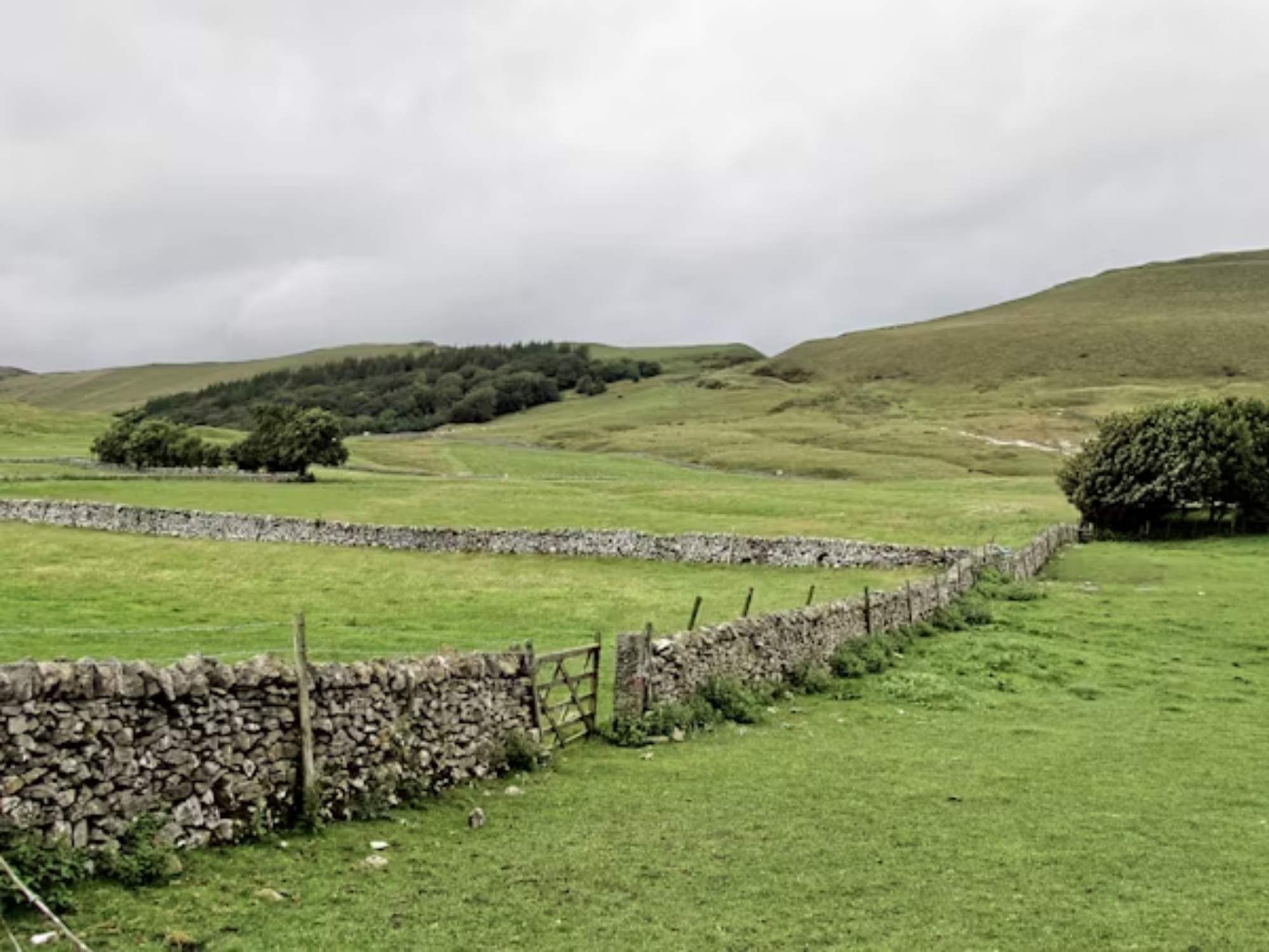 The Country Walk: Thinking, Plotting, Escaping the Drawing RoomBy A Lady with Mud on Her Hem and Ideas in Her Head